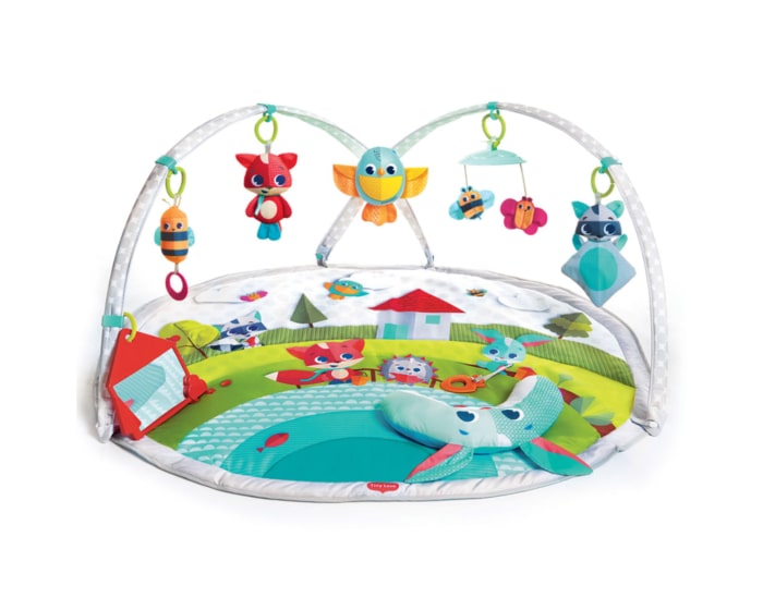 Meadow Days Dynamic Gymini