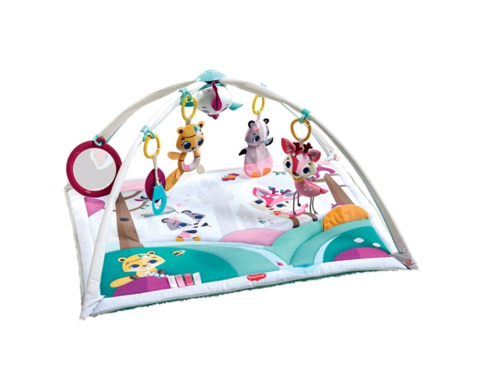 Tiny Princess Tales Gymini Deluxe