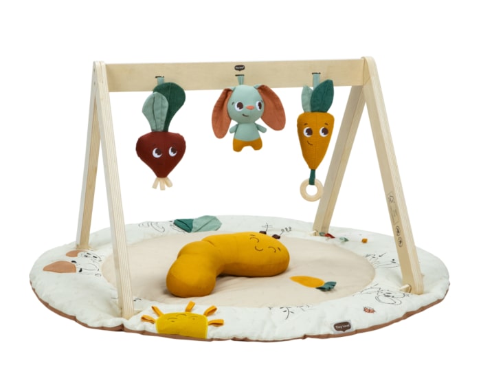Garden of Adventures Luxe Developmental Gymini	