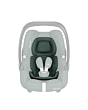 8558047110_2022_maxicosi_carseat_babycarseat_cabriofixisize_green_essentialgreen_newborninlay_front
